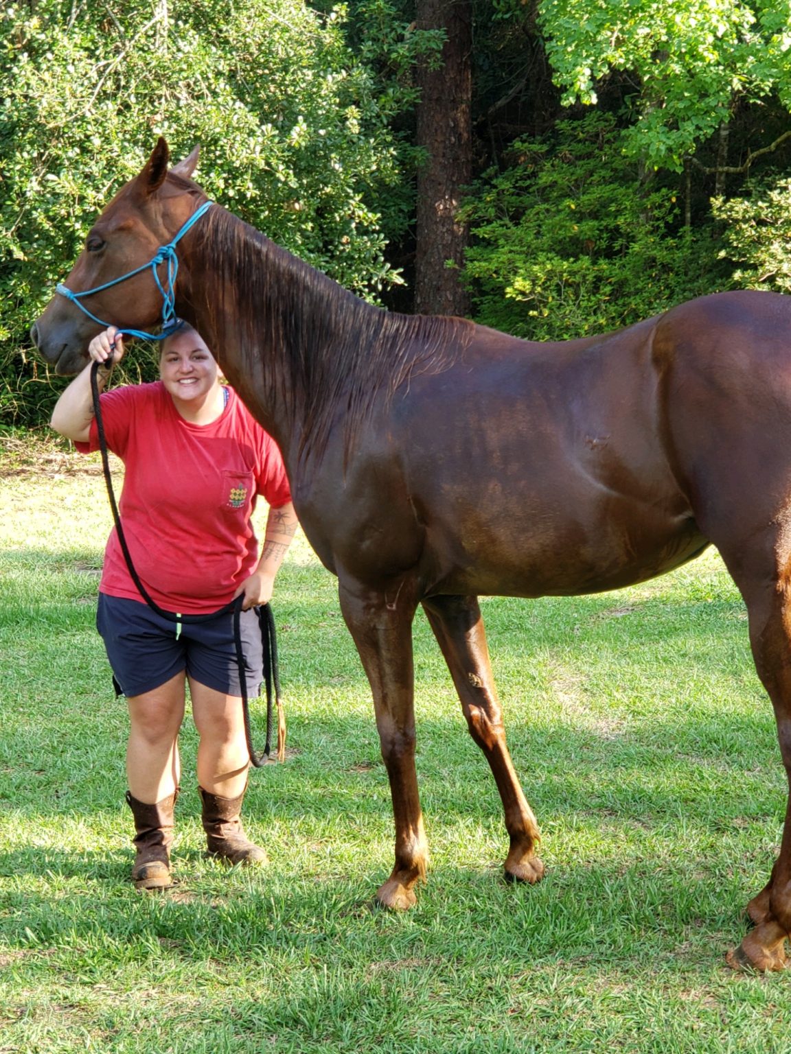 position-wanted-entry-level-ranch-hand-ranchwork