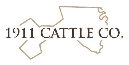 1911 Cattle Co