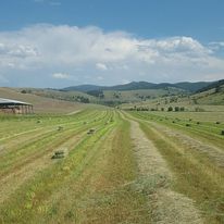 western Montana ranch