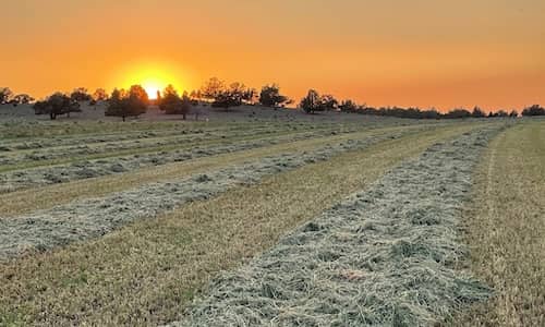 Oregon ranch