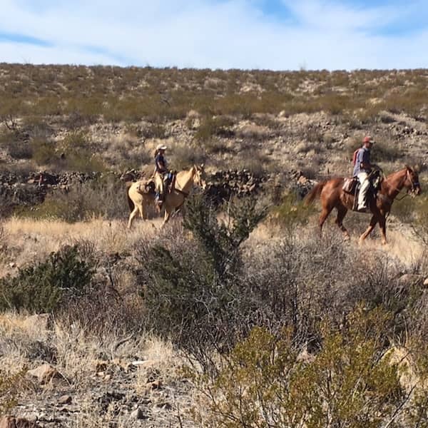 Big-Bend-Lajitas-Stables TX