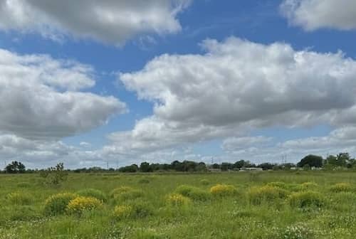 Brookshire Farm Louisiana