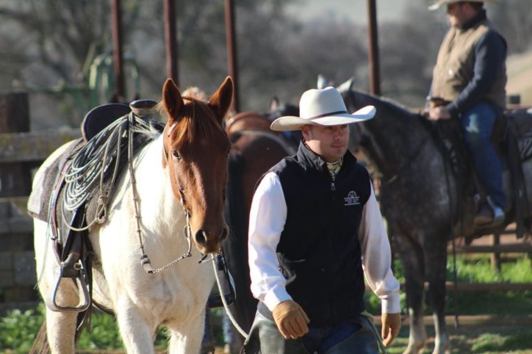 Position Wanted: Ranch Manager, Camp Man, Cow Boss, Cowboy Job ...