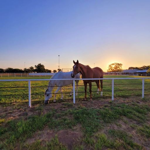 Entry level Ranch Hand Needed Near Austin TX RanchWork