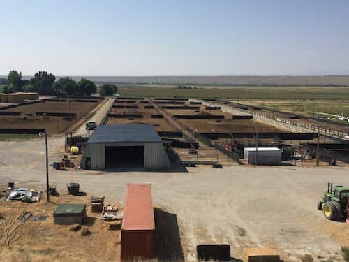 Fleur-de-lis Cattle Company Wyoming