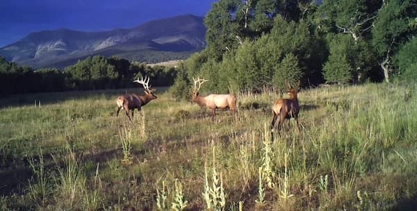 Colorado Ranch