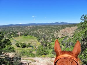 ranchwork protected