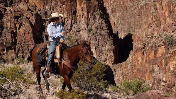 Big Bend & Lajitas Stables TX