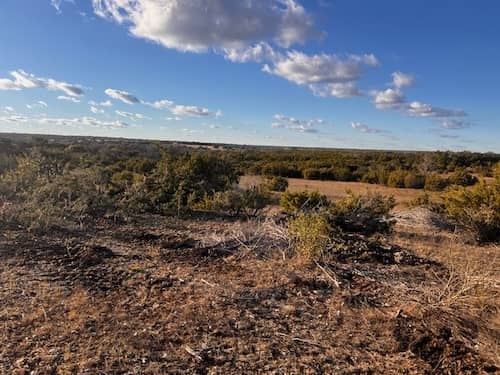 Leary Family Ranch TX