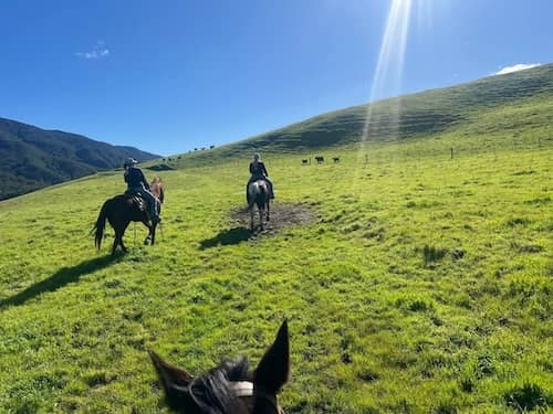 Nojoqui Horse Ranch California