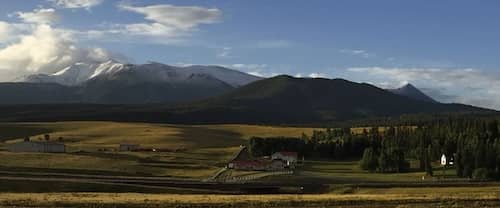 PBJ Cattle Company - Colorado