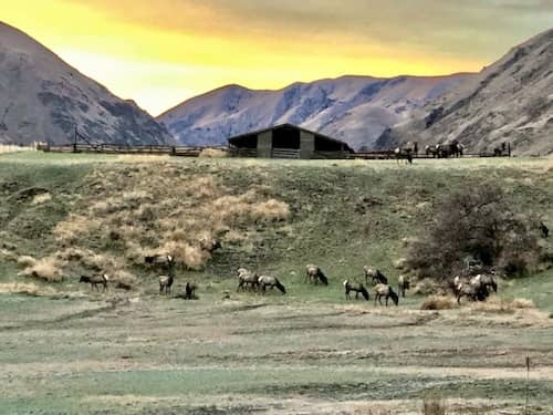 Temperance Creek Ranch, Hells Canyon Lodge Idaho