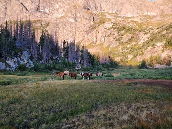 Colorado Ranch