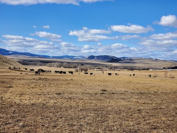 Boomer Ranch MT