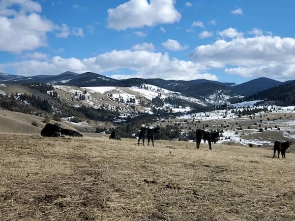 Boomer Ranch MT