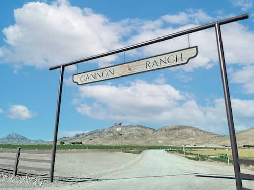 Cannon Ranch - Nevada