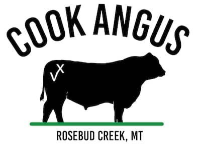 Cook Angus - Montana