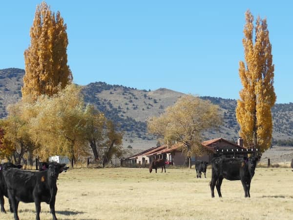 CVL Ranch Nevada