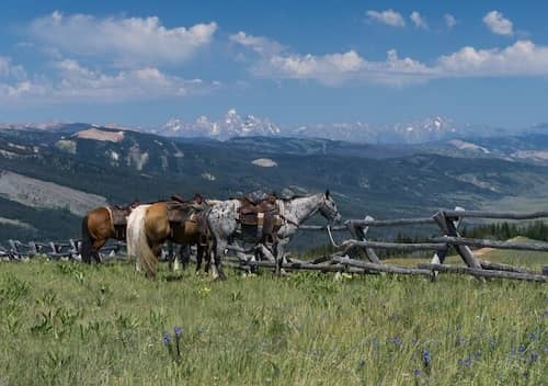 Darwin Ranch - Wyoming