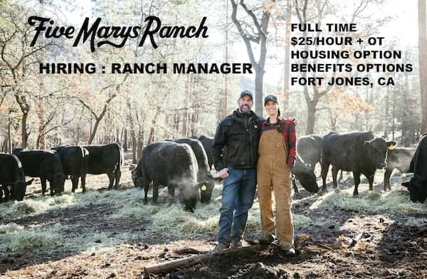 Five Marys Ranch hiring