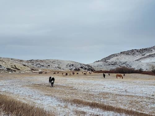 Flying X Ranch - WY