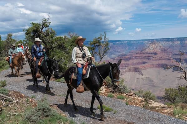 Grand Canyon National Park Lodges - Xanterra