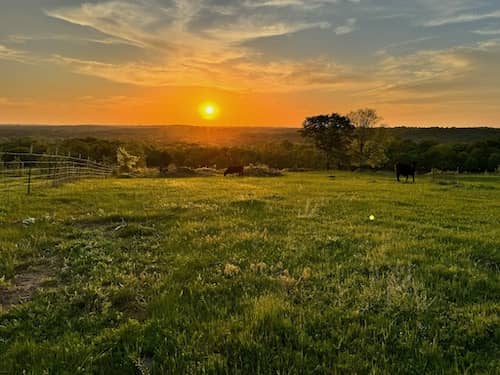 Happyland Ranch - Oklahoma