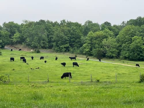 Happyland Ranch - Oklahoma