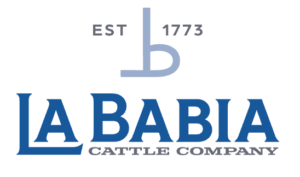 La Babia Cattle Company