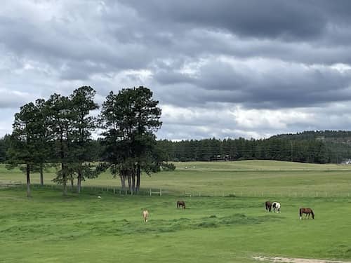 Mungerosa Ranch - Colorado