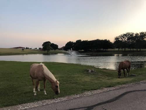 Texas ranch