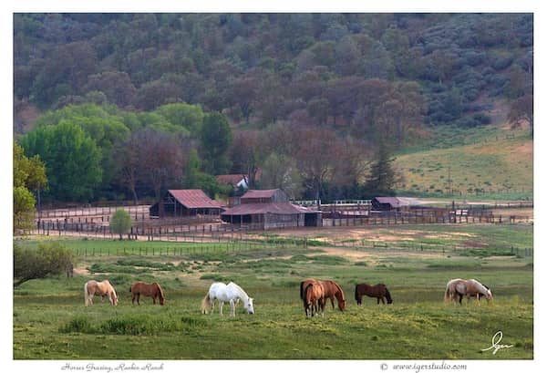 Rankin Ranch CA