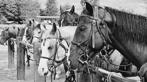 Red Horse Mountain Ranch - Idaho