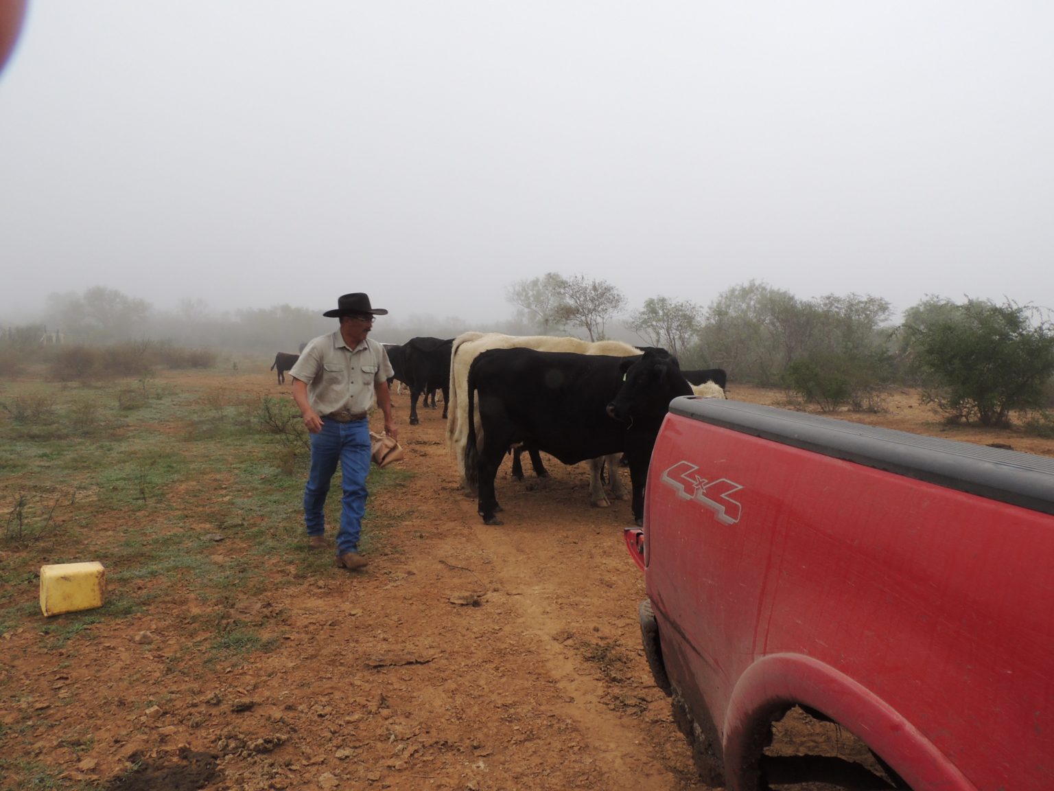 Position Wanted Experienced Professional Ranch Manager Opportunity in