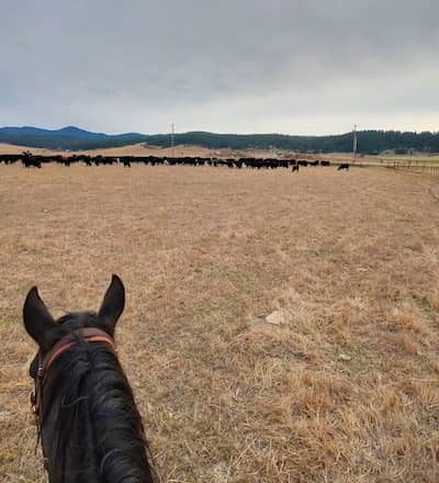 RJR Ranch Idaho