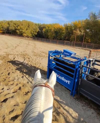 RJR Ranch Idaho