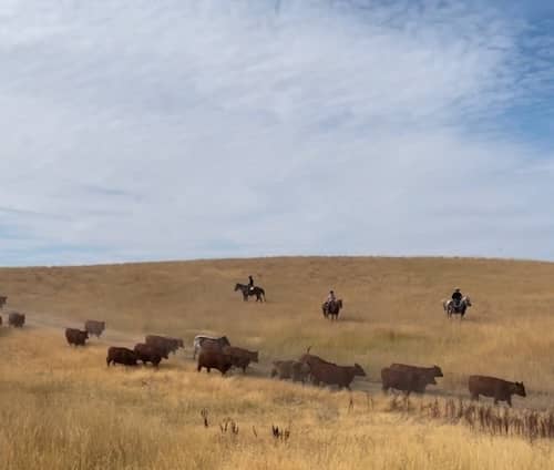 Stack Rock Ranch - Idaho