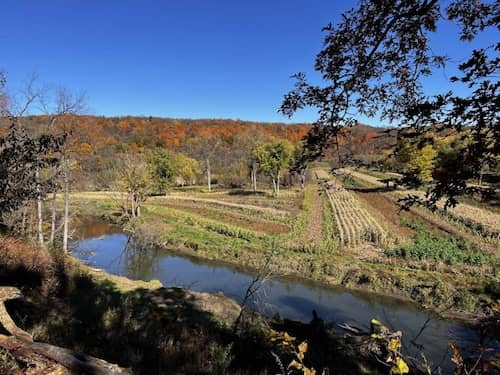 Upland / Waterfowl Dog Trainer & Hunting Guide needed in southwest ...