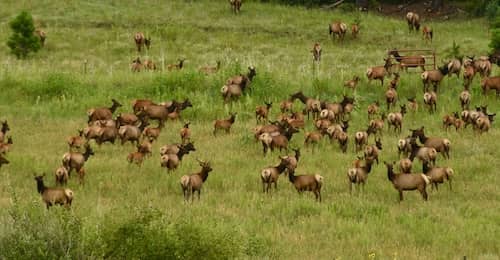 Wheaton Creek Ranch - NM