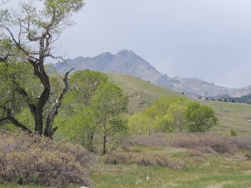 Wyoming Ranch