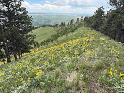 Wyoming Ranch views