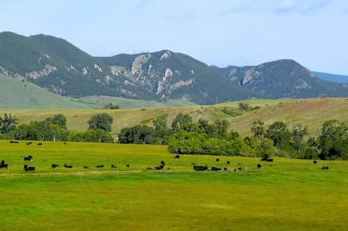 Wyoming Ranch views